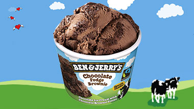 Produktbild Ben & Jerry's - Chocolate Fudge Brownie