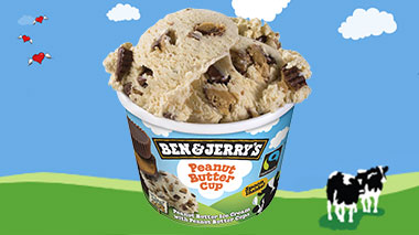 Produktbild Ben & Jerry's - Peanut Butter Cup