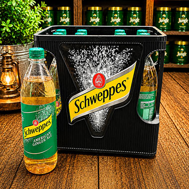 Produktbild Schweppes Ginger Ale 1,0 L Mehrweg